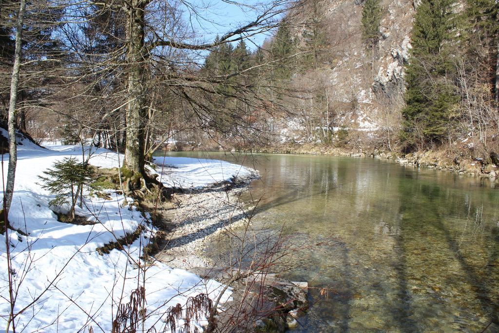 Apartments Villa Dov Bohinj Esterno foto