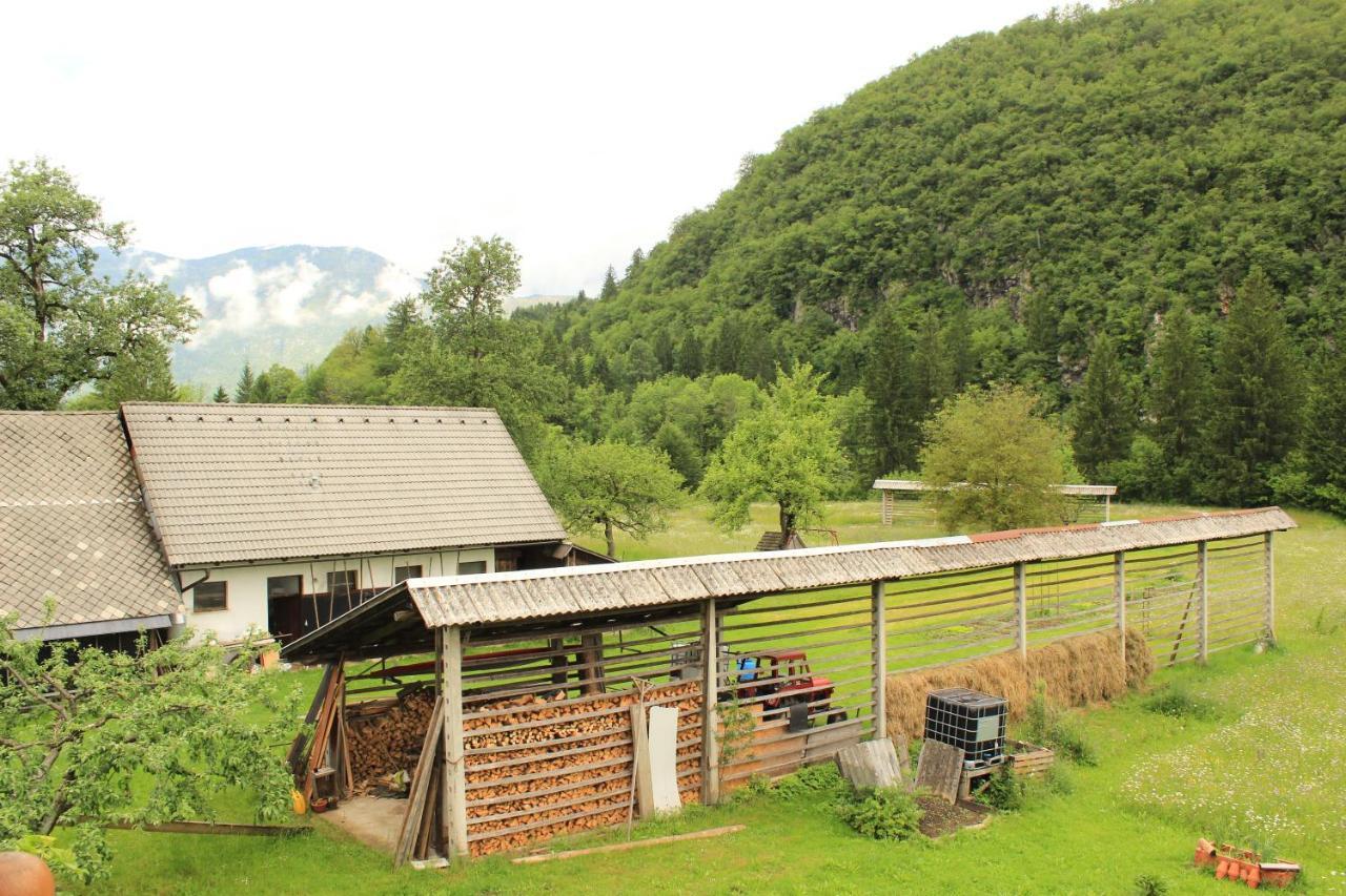 Apartments Villa Dov Bohinj Esterno foto